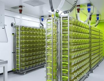 南京大學1.png 南京大學1.png