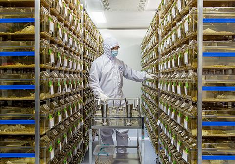 南京大學2.png 南京大學2.png