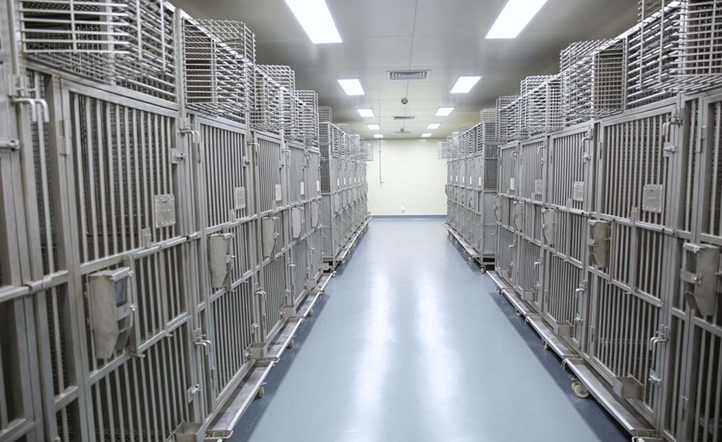 動物房設計裝修公司(圖1) 上海益諾思生物技術.jpg